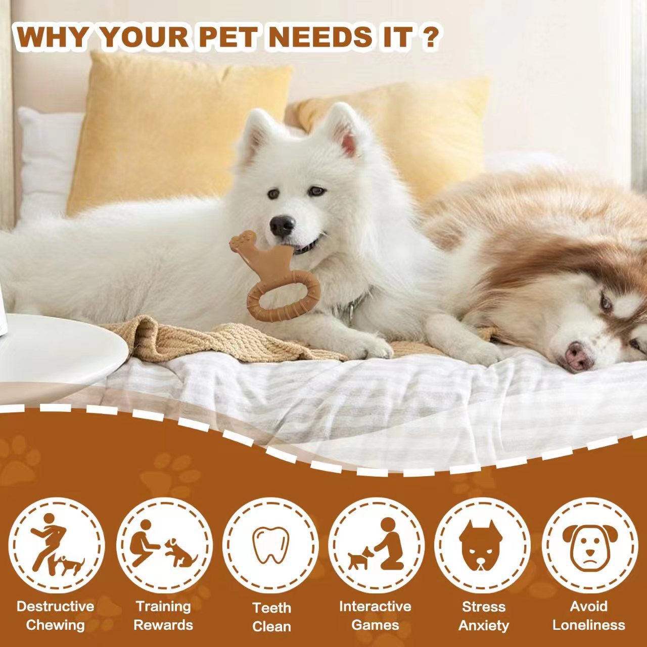 Interactive Double-edged Chew Bone