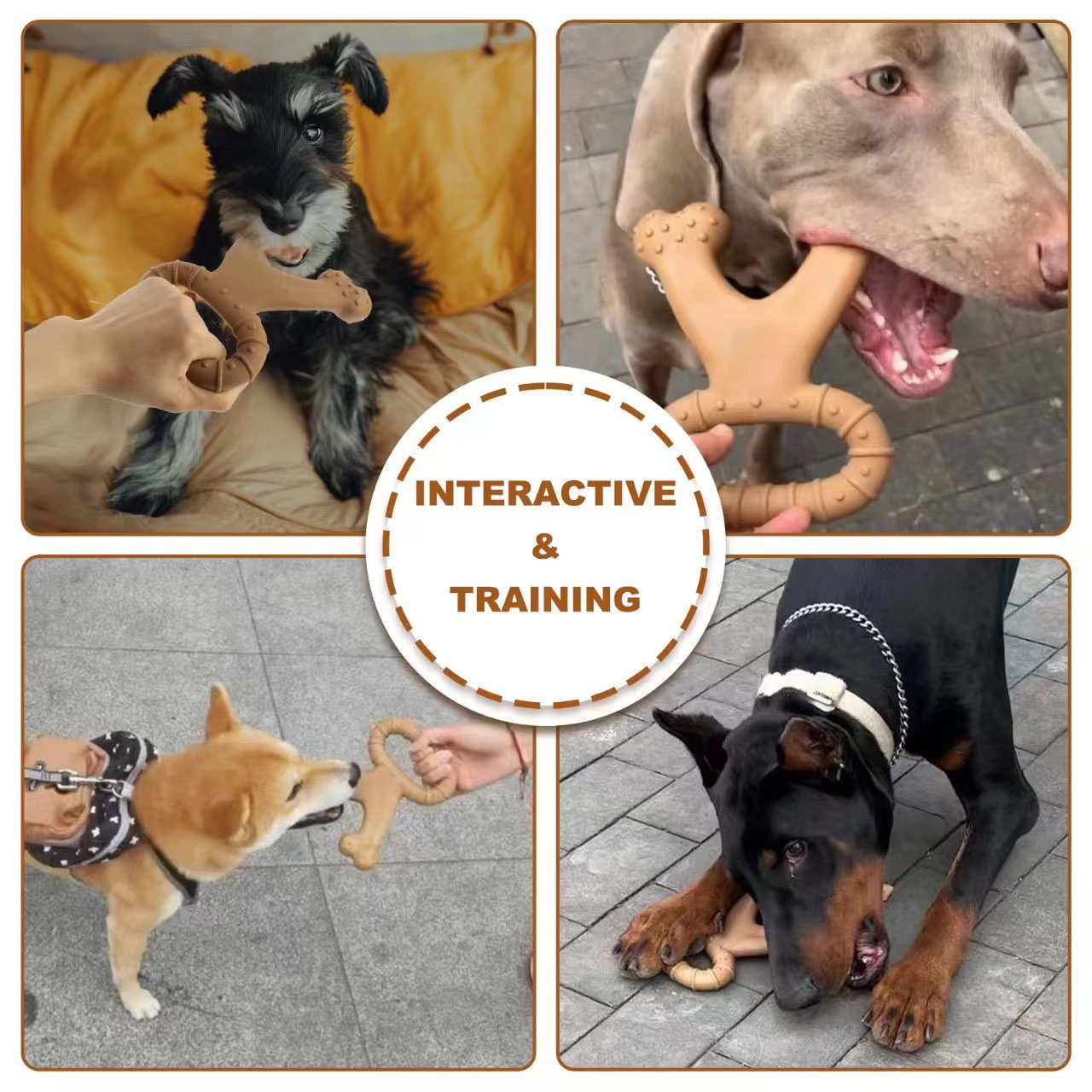 Interactive Double-edged Chew Bone