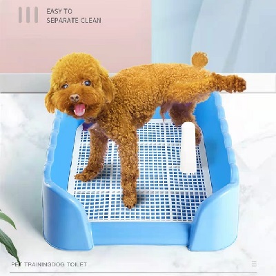 Pet Fence Toliet