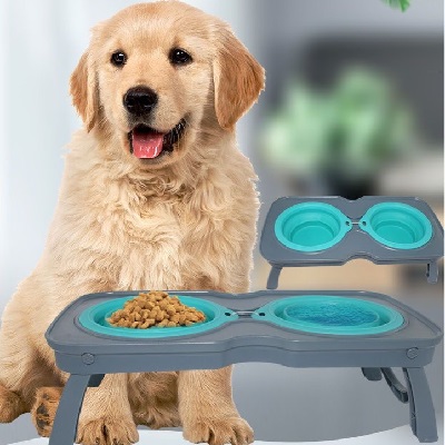 Double Elevated Pet Feeder