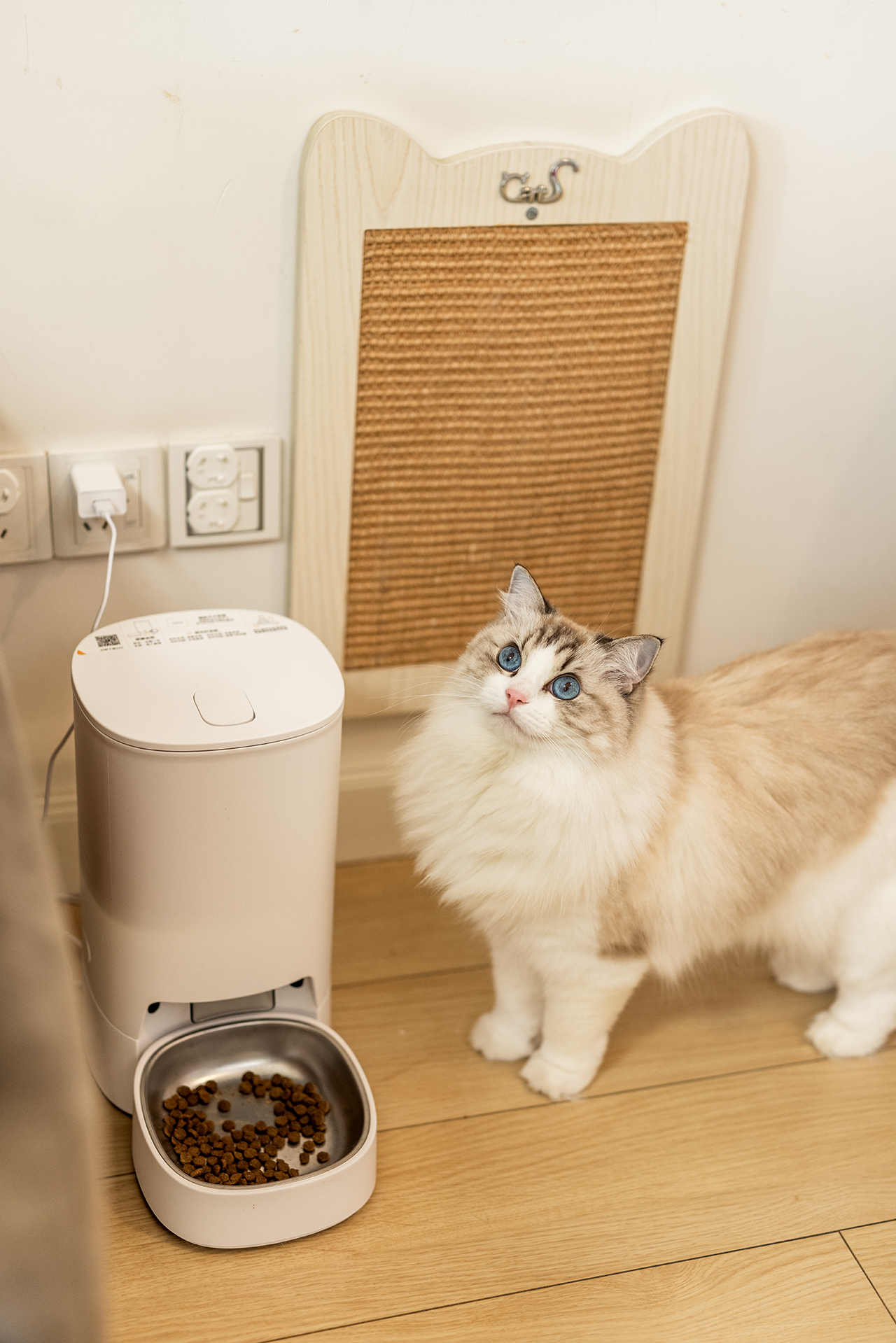 Automatic Pet Feeder