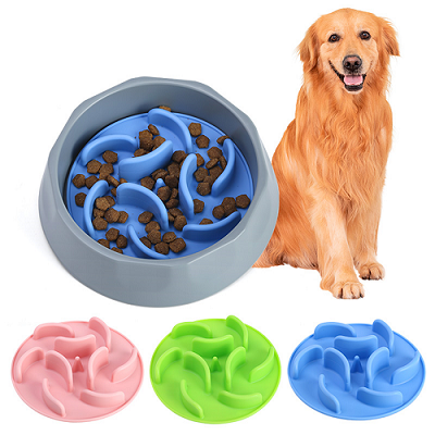2 IN 1Pet slow bowl