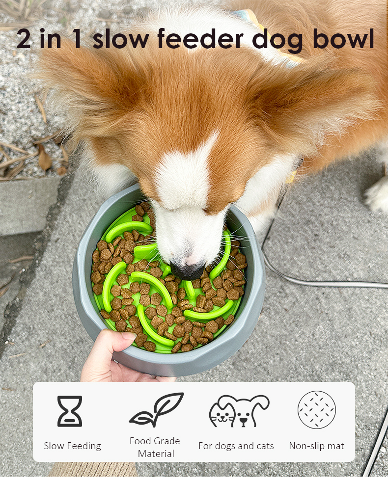 2 IN 1Pet slow bowl