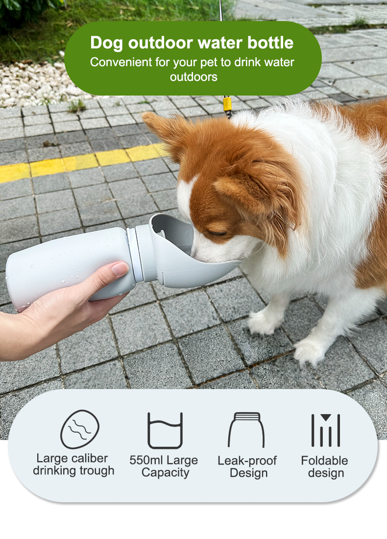 Dog outdoor water bottle