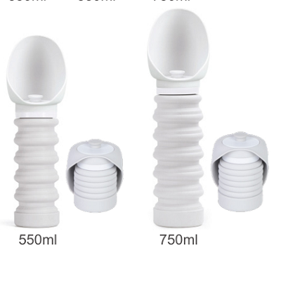 Dog outdoor water bottle