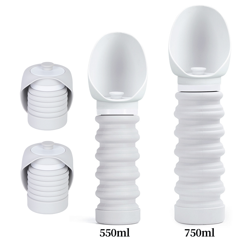 Dog outdoor water bottle