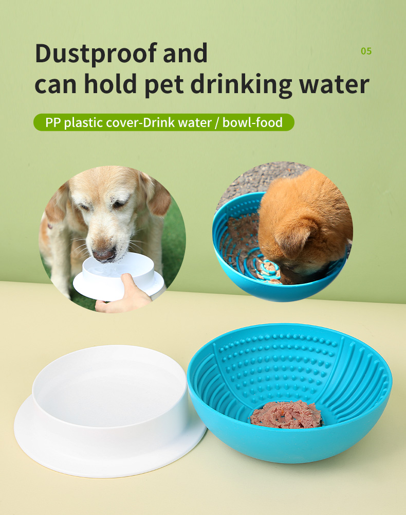 Pet slow food bowl